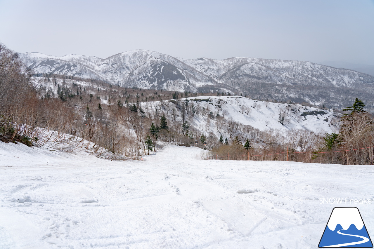 キロロリゾート｜初夏の陽気に耐えて、何とかGWまで持ってくれたキロロの雪…。さぁ、キロロゴンドラに乗って、山頂から山麓まで続く全長4,000ｍ超のロングランを楽しみましょう！